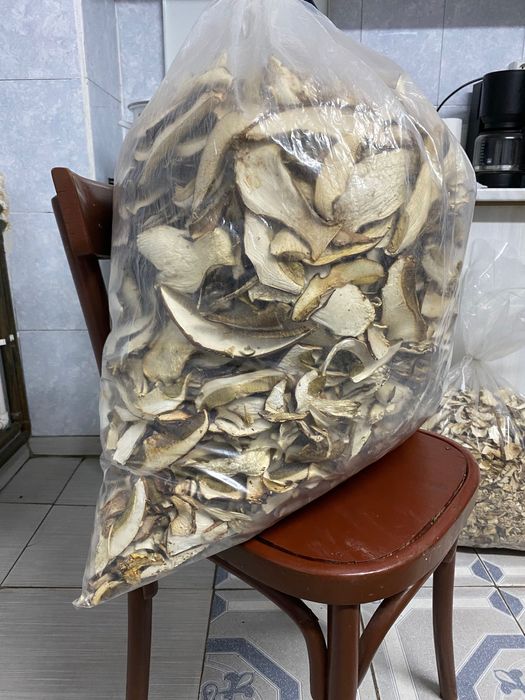 Vand hribi Uscati de toamna