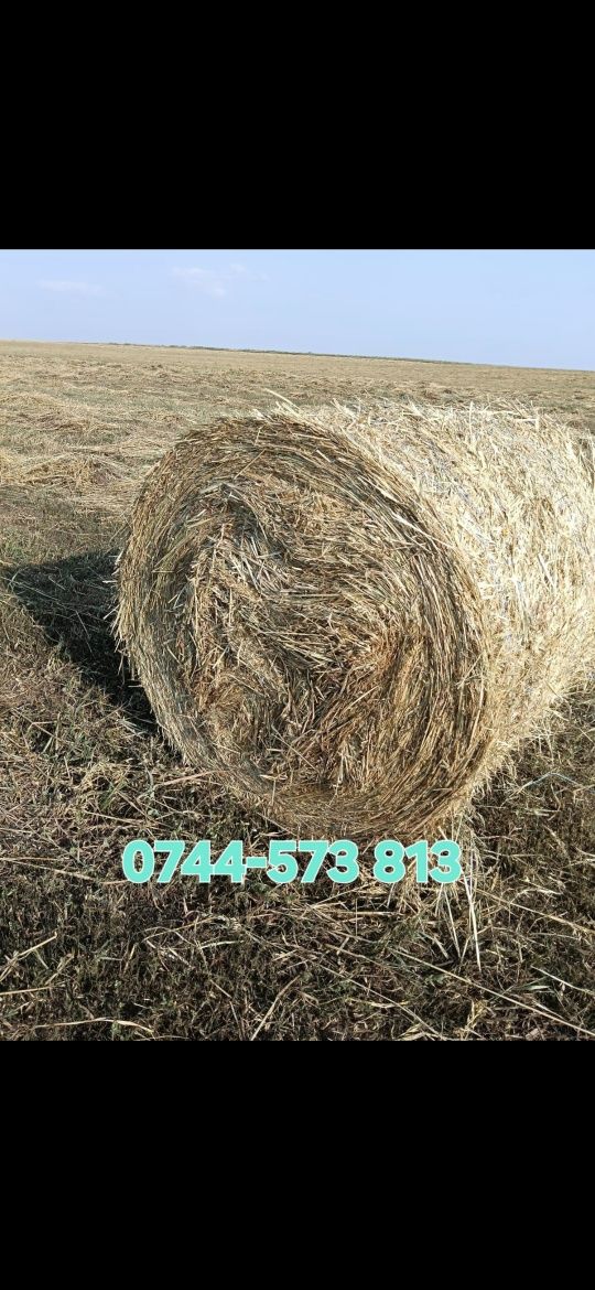 Baloti lucerna C1,C2 min40.Drept 500 sau fan.La TIR"RO UE Trans.inclus