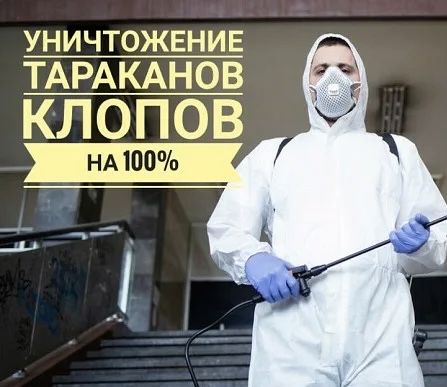 От 5000тг Дизинфекция, дезинсекция, дезинфекция от тараканов и клопов.