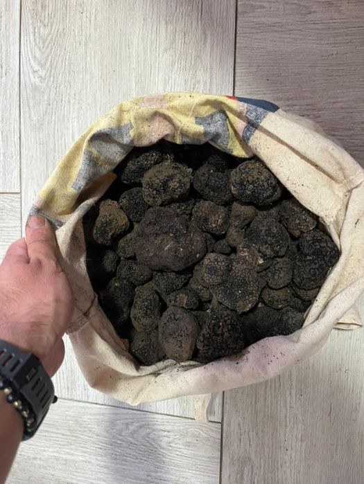 Trufe negre de iarnă