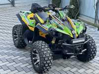 Can am renegade 800 R