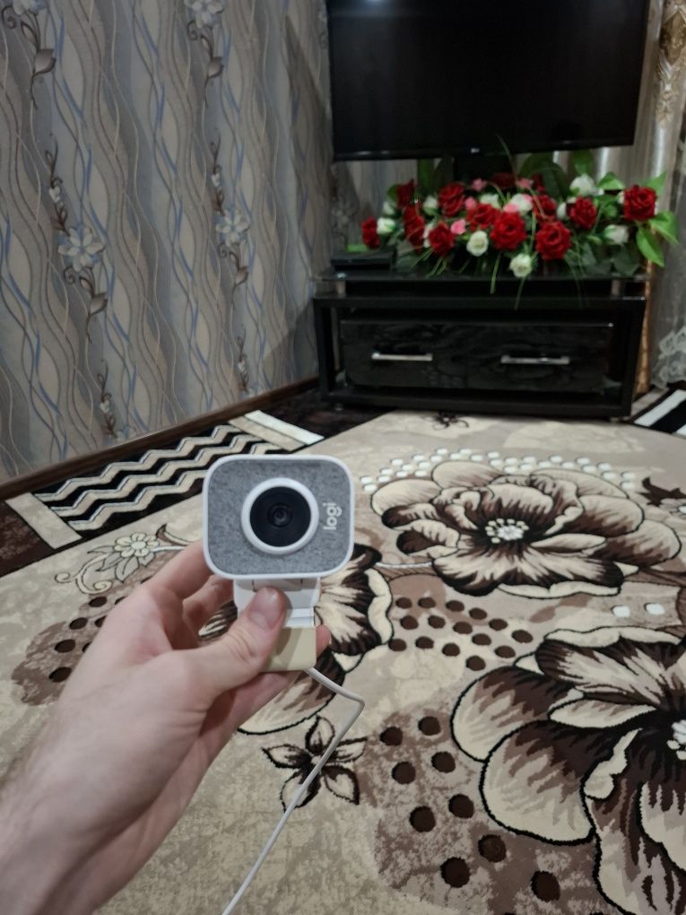 Web camera Logitech 1080/60