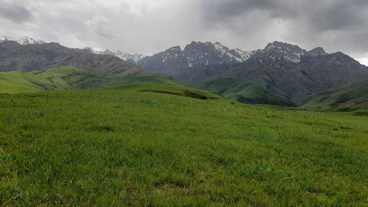 Продаётся фазенда паздбищным угодием в горах