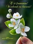 Asistent medical  la domiciliul  dvs
