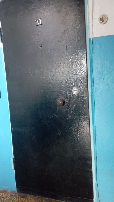 Входная железная дверь