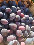 De vânzare prune de țuică