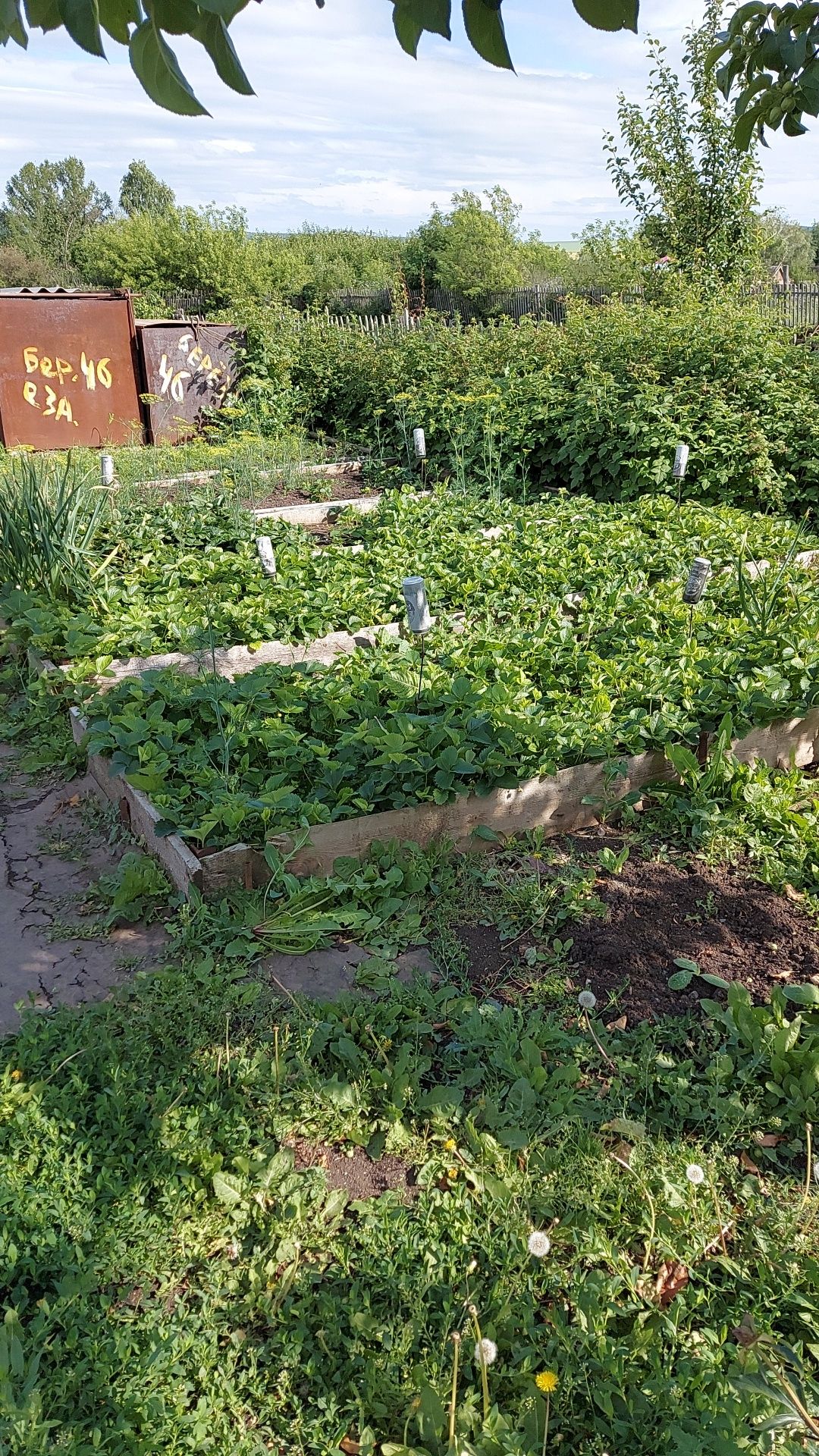 Продам дачу по ул  Березовая