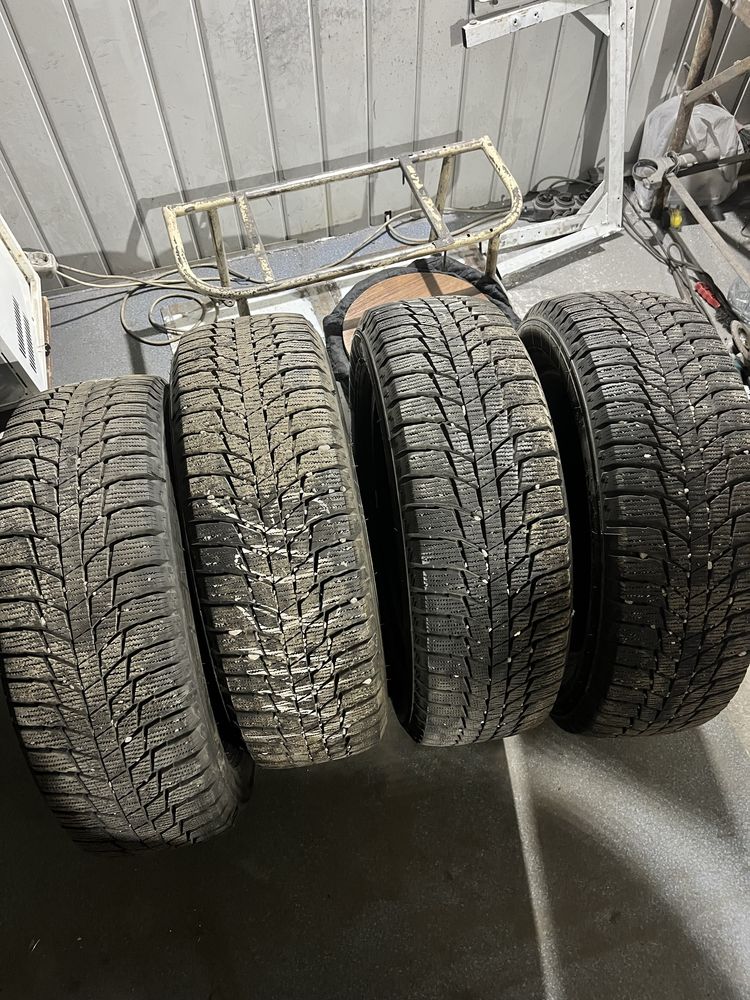 Зимние шины Triangle 225/60R18