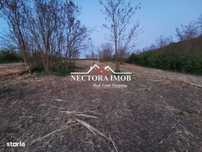 NECTORA IMOB-Loturi de teren 500 mp,Zona Saldabagiu de Munte-Lac Paleu