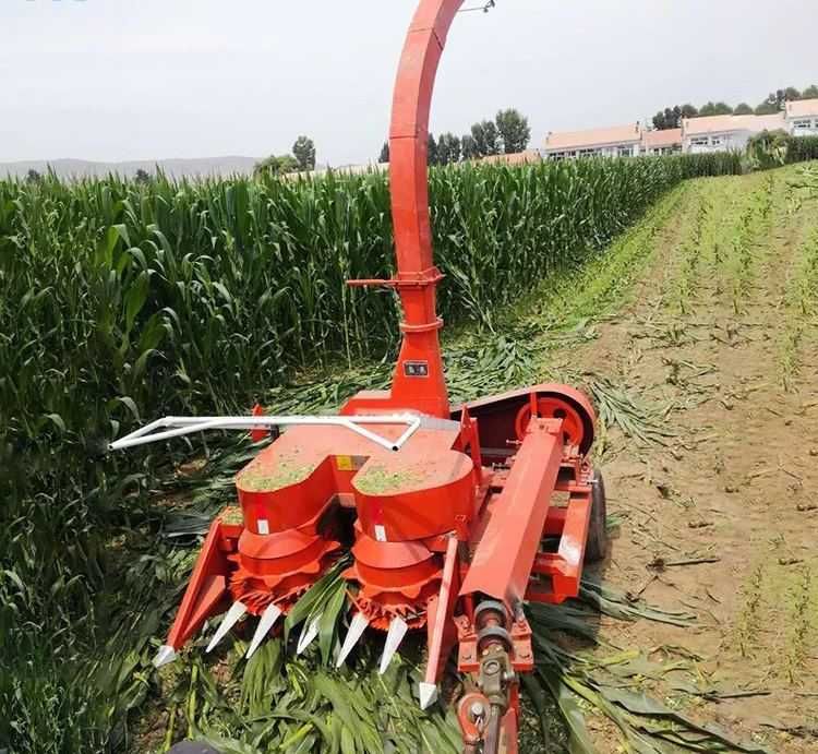 Xitoydan  Uskuna va maxsulotlar yetkazib berish xizmati