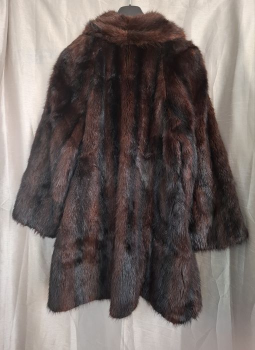 Haina eleganta nurca