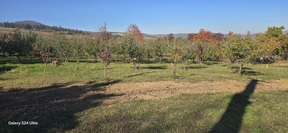 Teren Sat Filioara com Agapia