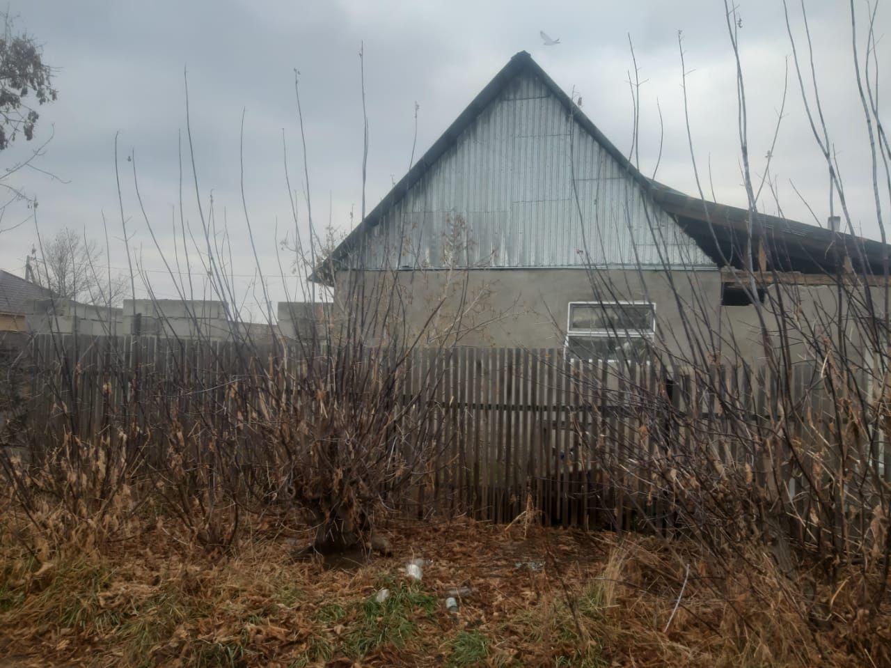 Сад кле́н продам дом зимний вариант