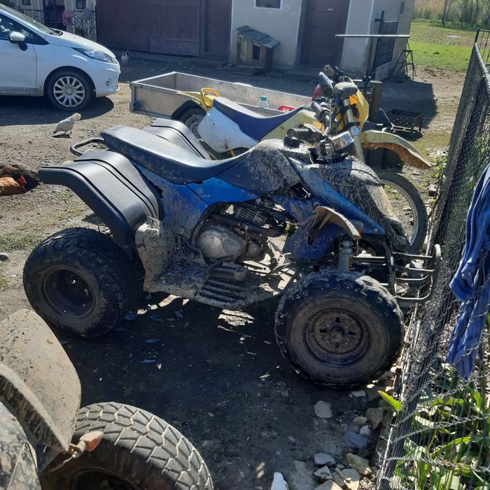 Atv 300 cc cu acte defect
