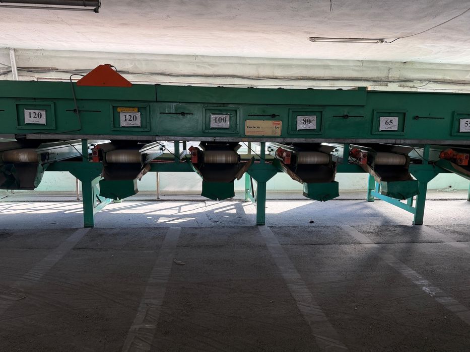 Statie de sortare castraveti cornison