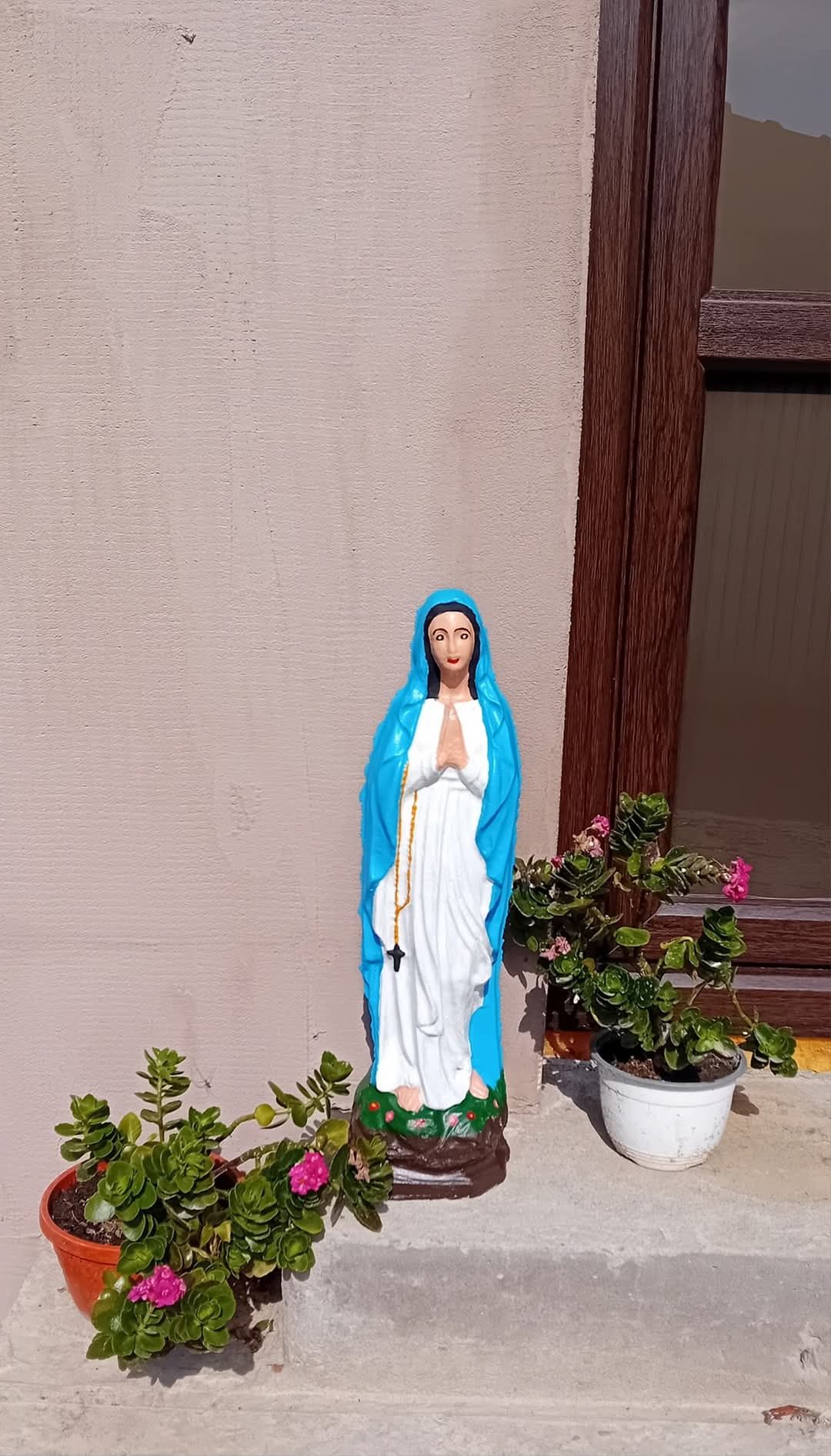 Vând pitici de grădină