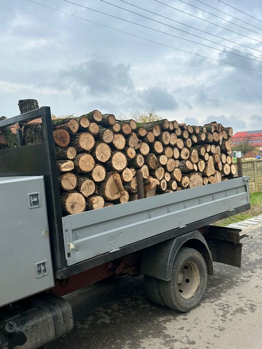 Lemne de foc super pret