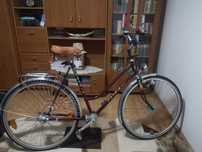 Bicicleta PATRIA WKC