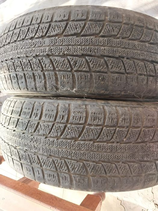 Бу донгелектер бар