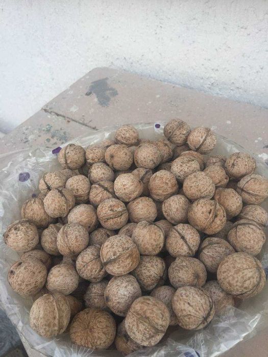 грецкие орехи из своего сада 2025 года сбора