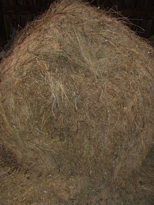 Baloți rotunzi otavă