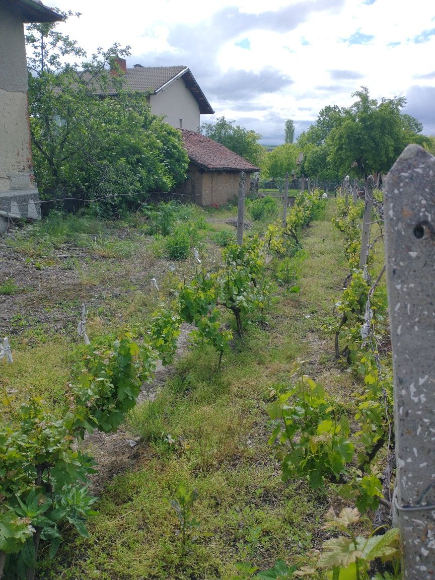 Продава УПИ 405кв.м-с.Големо Село община Бобов дол