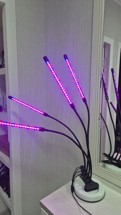 Фитолампа б/у в рабочем состоянии