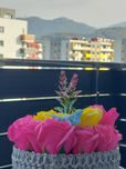 Regim Hotelier Brasov Apartamente Avantgarden