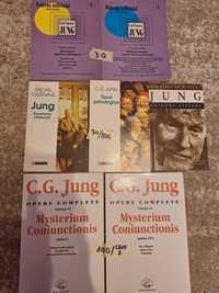 Jung, carti diferite