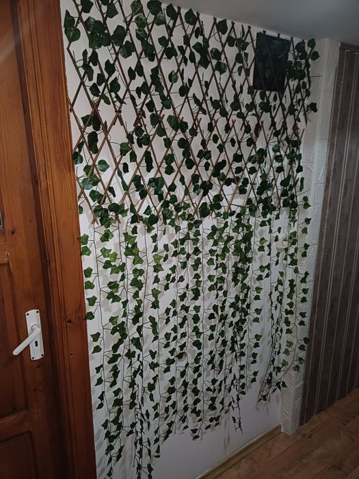 Planta decorativa perete