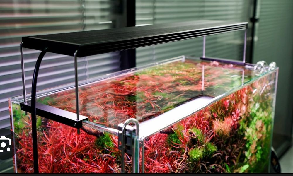 CHIHIROS Wrgb 2 Pro  45-60 cm