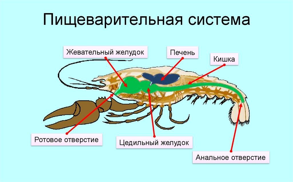 Продам продаю продаётся