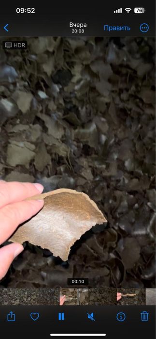 Продам жмых так же имеется льняное масло!