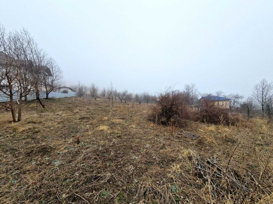 1000 mp  teren intravilan Piatra Neamt