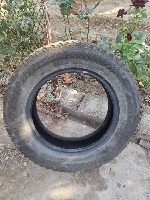 Шина зимняя резина зимний балон