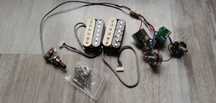 Set doze EPIPHONE Alnico Zebra