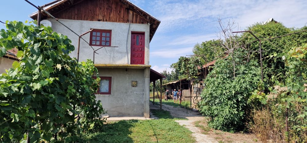 Vând casa cu curte
