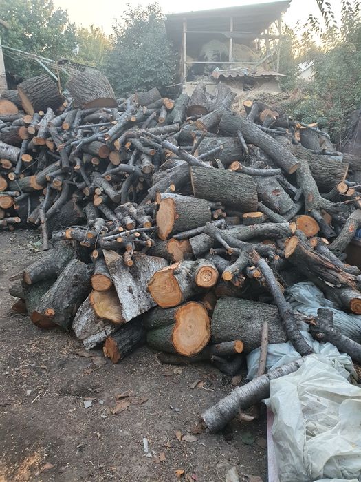 Отин сотлади яхщи отин