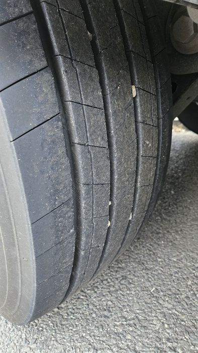 Ansamblu MAN+bena Wielton