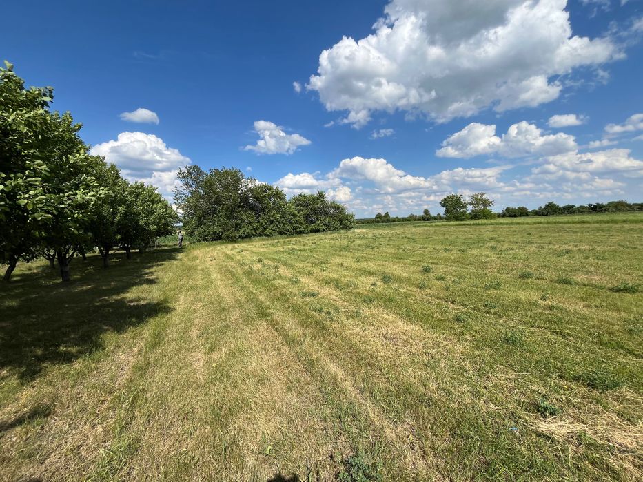 De Vânzare Teren Intravilan județul Dâmbovița, Dragomirești