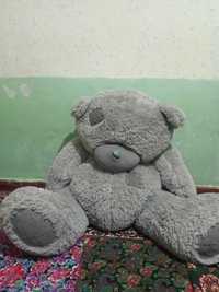 Teddy ayiq xolati yaxshi