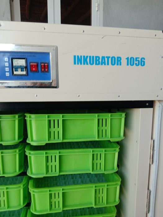InkubatorEL-1056