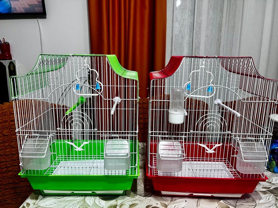 Vând colivii papagali ( peruși, canari, zebre, agapornita )