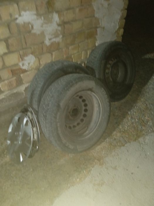 14 балон коблтга сотилади