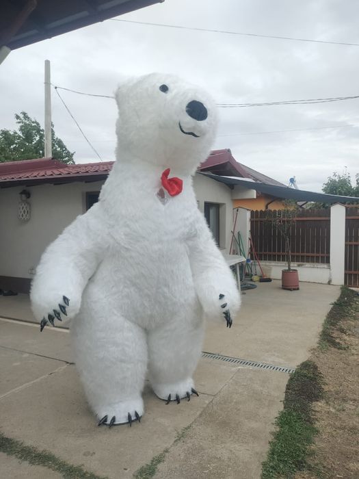 Urs gigant ,2,5 metri