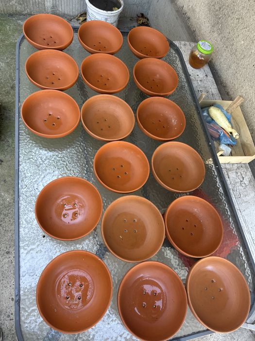 Cuibare si gratare cuibare porumbei