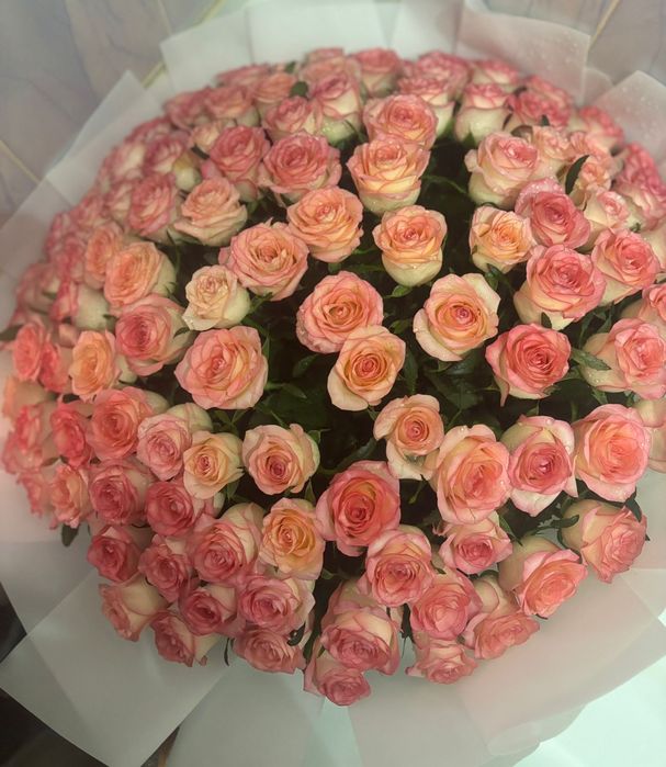 Кеше түнде келді 1 розадан 1000 тг ден 111000 тг 55000 тг ге береміз