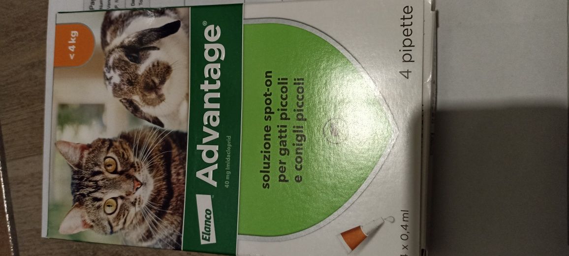 Advantage antiparazitar pisici & iepuri mici sub 4kg