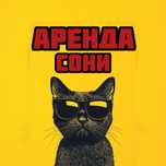 Аренда сони / ПС5 / сони5 аренда PS5 PS4 Sony5 аренда сони пс5