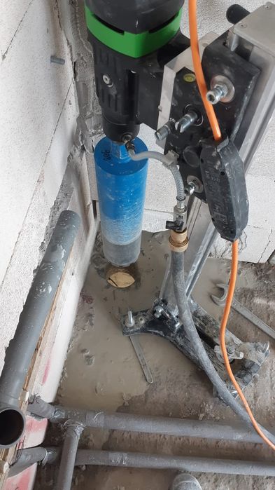 Gauri Carota Profesională